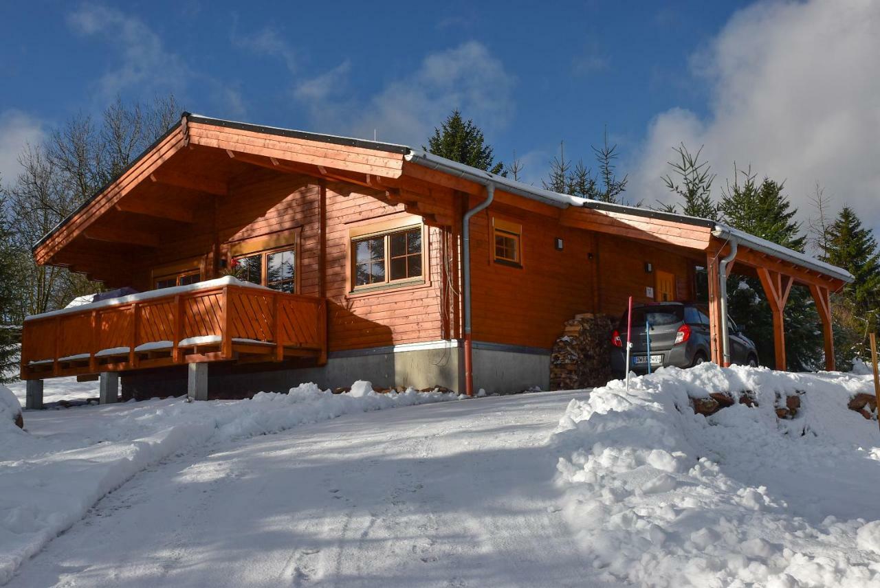 Erzgebirgsholzhaus Am Lugstein Villa Altenberg Ngoại thất bức ảnh
